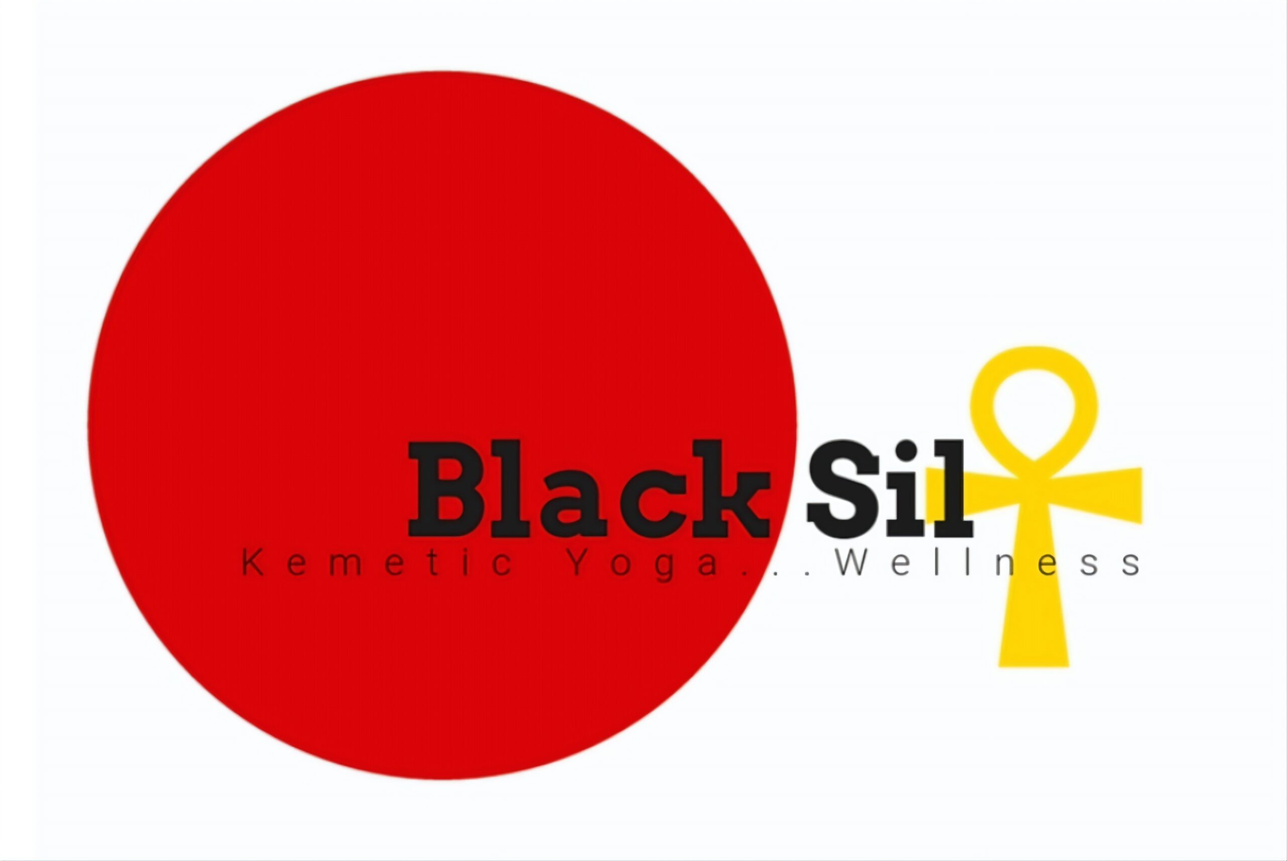 Black Silt Yoga LLC